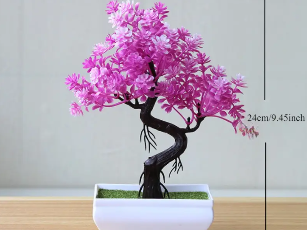 Bonsai Boom